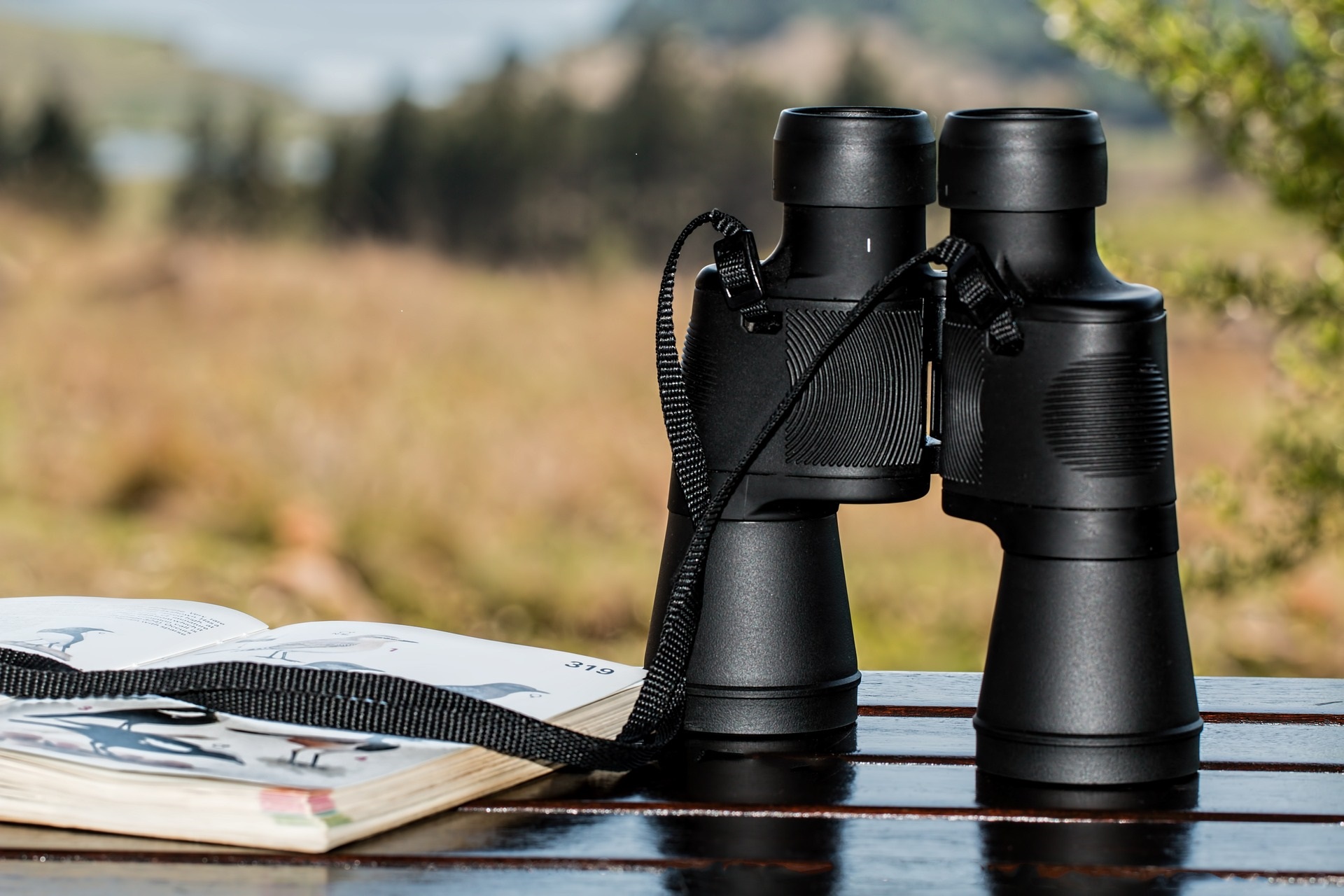 binoculars-995779_1920